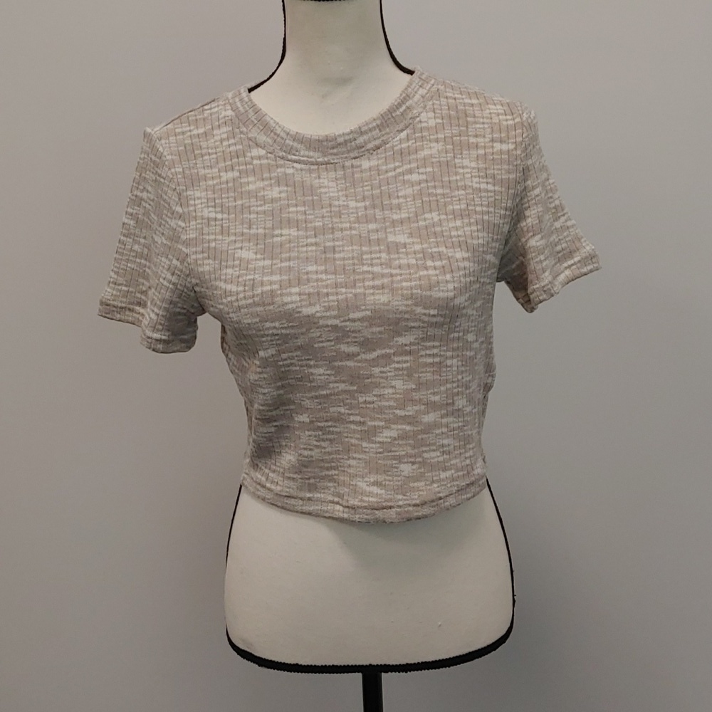 Divided H&M Tan and White Crop Top Short Sleeve NEW